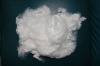 polyester staple fiber