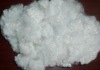 polyester staple fiber