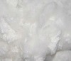 polyester staple fiber