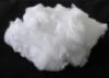 polyester staple fiber