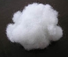 polyester staple fiber