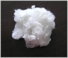 polyester staple fiber