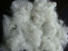 polyester staple fiber(PSF) supplier