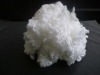 polyester staple fiber/regenerated fibers/recycled fiber