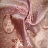 polyester textile / upholstory fabric