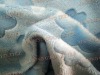polyester tricot brushed fabric