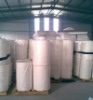 polypropylene spunbond nonwoven