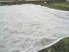 pp nonwoven fabric for agriculture