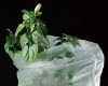 pp spunbond nonwoven fabric for horticulture