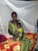 pregnant treated mosquito nets LLINs mesh net
