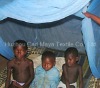 pretreated mosquito nets deltamethrin or permethrin against Africa Malaria LLINs