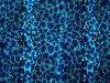 printed T50/C50 polyester cotton  fabric