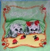 printed baby blankets/home textile
