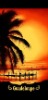 printed beach towel