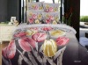 printed bed sheet sets