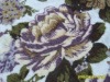 printed coral fleece(doubled-printed )/home textile