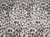 printed cotton spandex jersey fabric