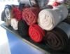 printed double-side polar fleece blanket