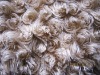 printed knitting fabric