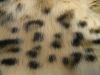 printed leopard fake fur