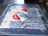 printed polyester blanket