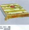 printed polyester blanket