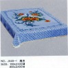 printed polyester blanket