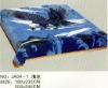 printed polyester blanket