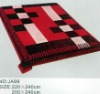 printed polyester blanket