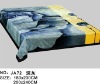 printed polyester blanket