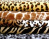 printed pv plush/velboa