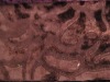 printed velboa fabric