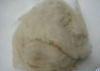 pure pashmina wool fiber