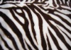 pv plush car upholstery fabric