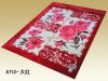 queen size super soft 100% polyester printed blanket