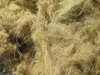 raw bamboo fiber