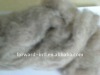 raw dehaired cashmere fiber