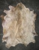 raw salted sheep skins