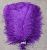 real purple ostrich feathers