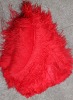 real red ostrich feathers