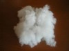 recycle polyester staple fiber