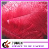 red Ostrich Feather for decoration