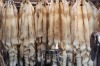 red fox fur skins