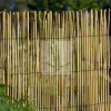 reed privacy fence
