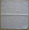 restaurant white napkin