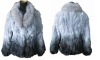 rex rabbit fur coat with raccoon fur collar in grudual color