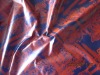 roller coated nylon fabric for down wear and jacket