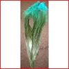 rooster feather hair extensions