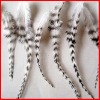 rooster feather hair extensions