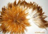 rooster feathers, schlappen feathers, feather extensions, grizzly rooster feathers, hair feathers wholesale